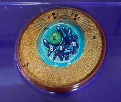 <p>Early Prophase</p>