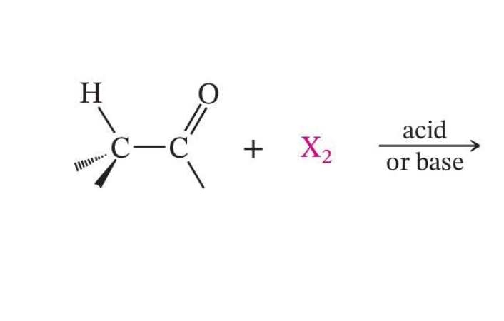 <p>α-Halogenation</p>