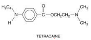 <p>Ester or Amide?</p>