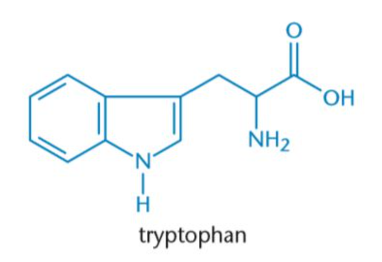 <p>Trp, W</p><p>Nonpolar</p>