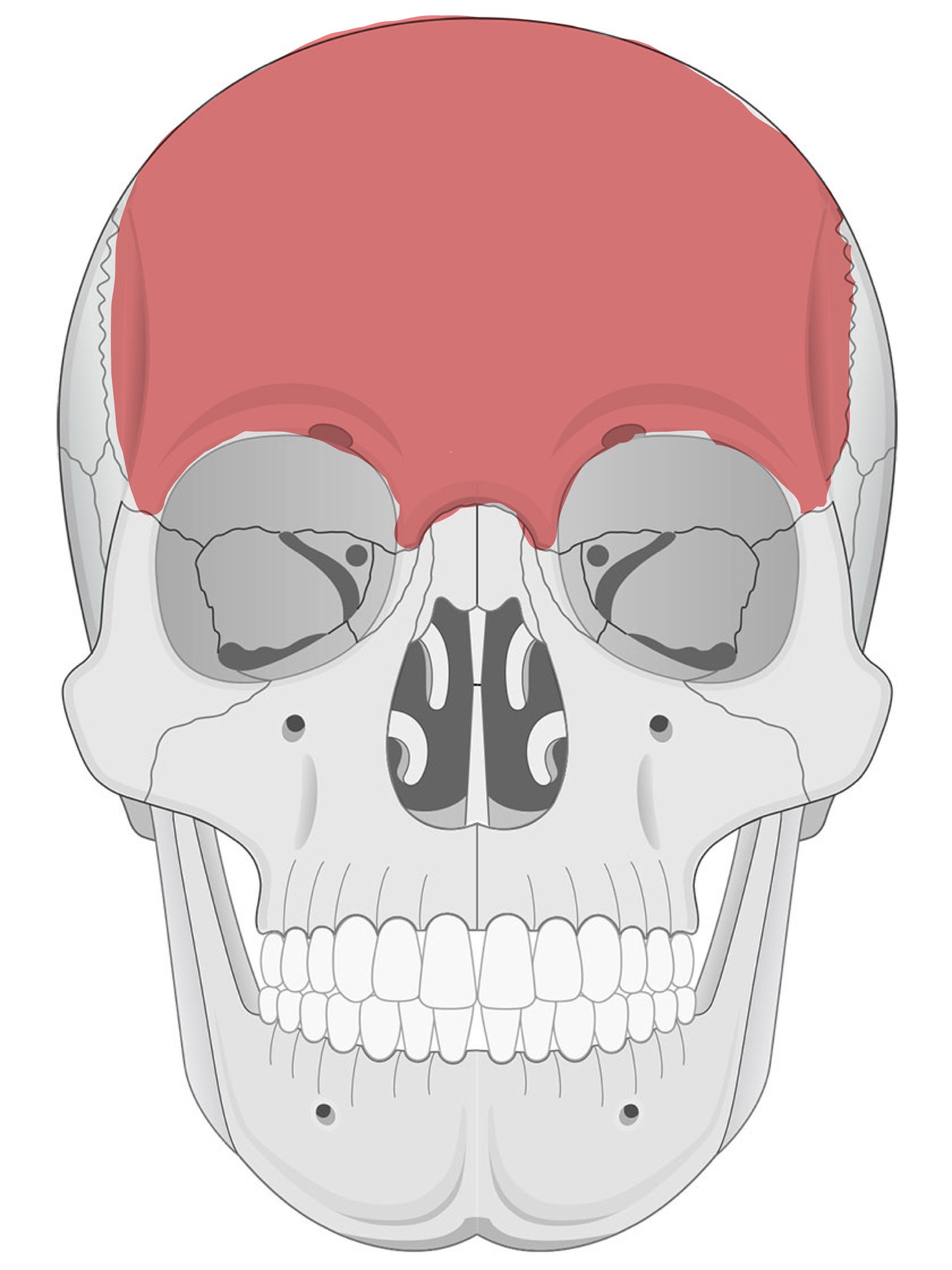 <p> </p>