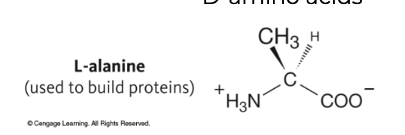 <p><strong>Naturally</strong> occurring amino acids </p>