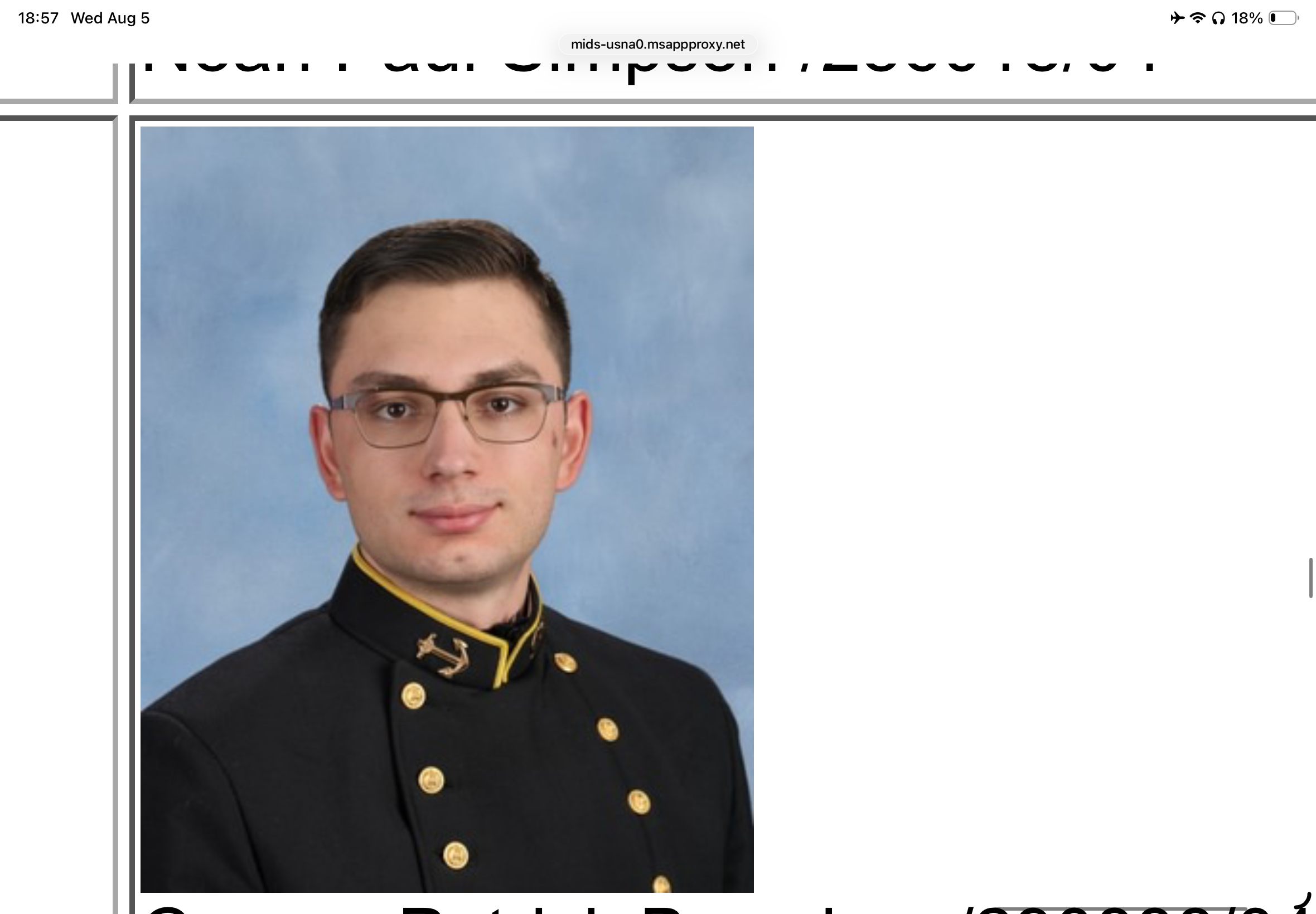 term image