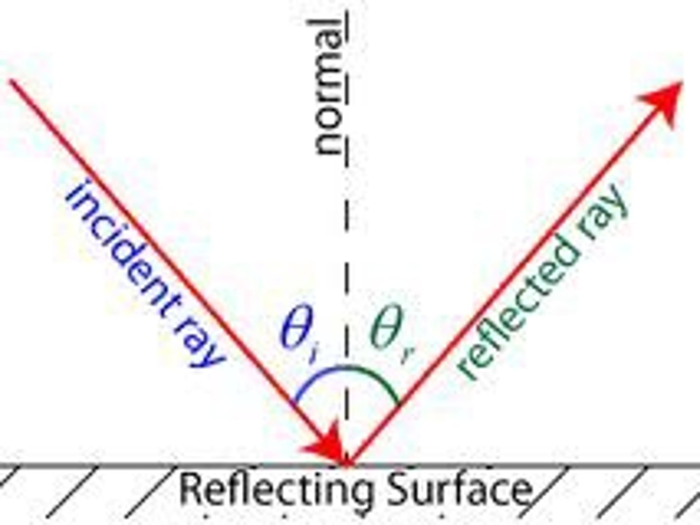 <p>1) Draw a normal (a dashed line 90° from the surface it's reflecting off)</p><p>2) Measure and label the angle of incidence (angle between normal and ray that hasn't yet been reflected)</p><p>3) Draw and label reflected ray - the angle of incidence = the angle of reflection (from the normal, but on the other side of it)</p><p>4) Draw arrows on all rays to show the direction of energy transfer</p>