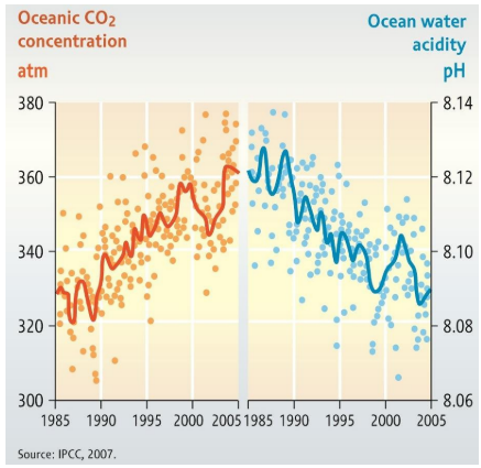 <p>As oceanic CO2 concentration increases, ocean water acidity pH decreases </p>