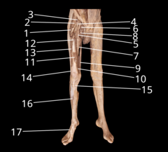 <p>16</p>