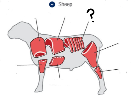 <p>What is this cut of meat?</p>