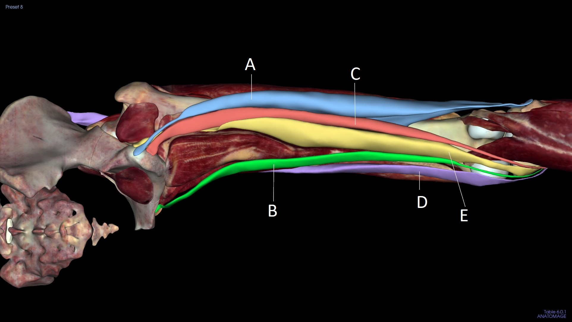 <p>E</p>