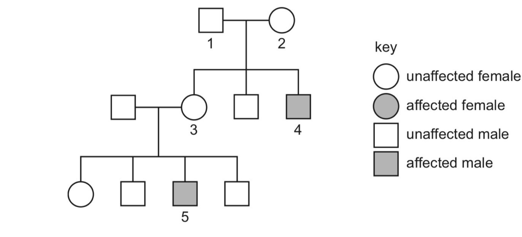 <p><span style="background-color: transparent;">The diagram shows the inheritance, in one family, of a sex-linked recessive disease.</span></p><p></p><p><span style="background-color: transparent;">Which individuals in the diagram are heterozygous for this disease? </span></p>