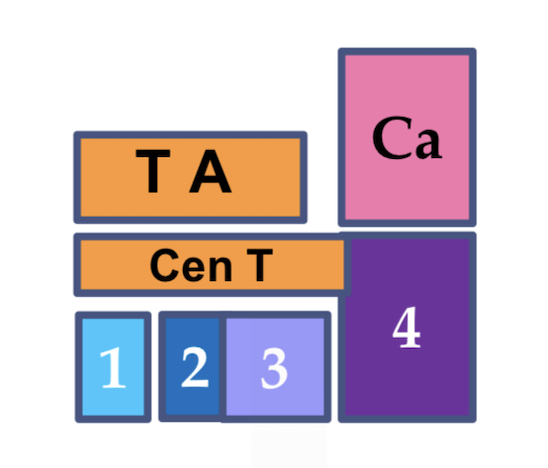 <ul><li><p>Central and 4th tarsal bone are fused</p></li><li><p>2nd and 3rd tarsal bone are fused</p></li><li><p>The trochlea of talus is straight → Trochlear ridges one at either end → Rotation possible at proximal inter-tarsal joint → Lateral “cow” kick </p></li></ul><p></p>