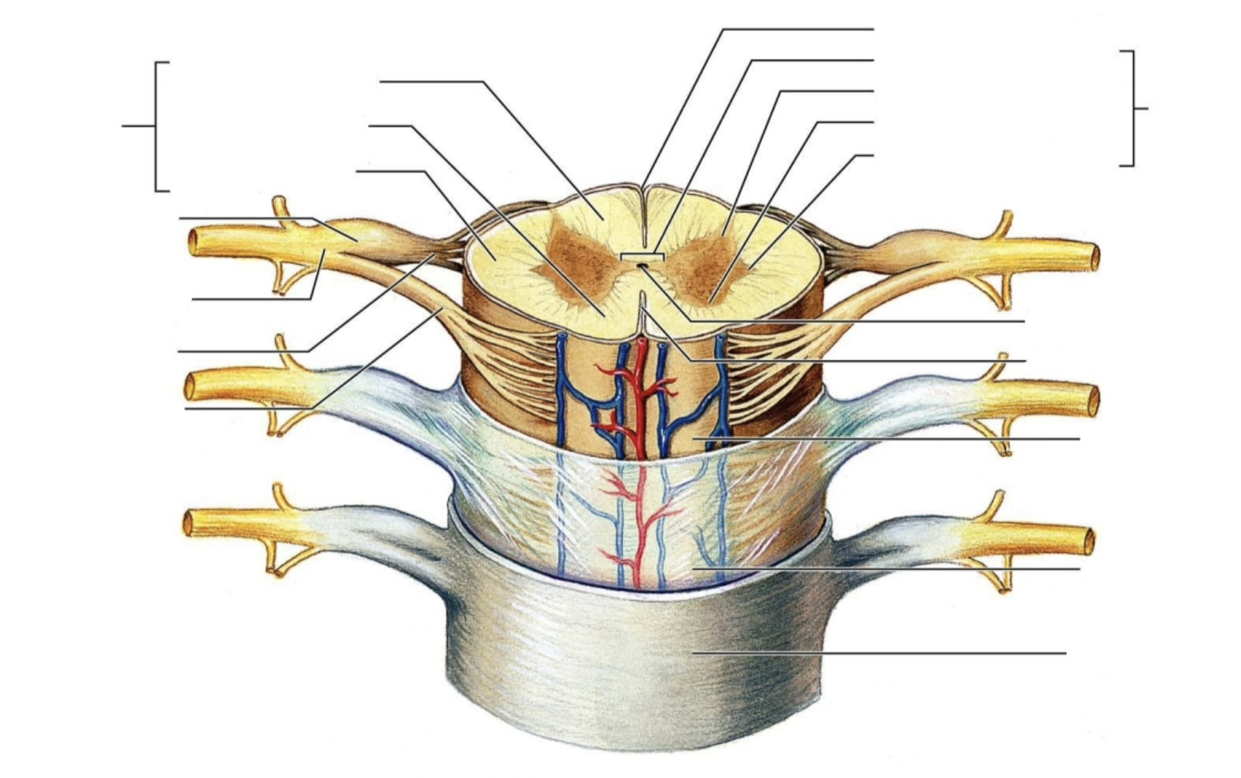 <p><a target="_blank" rel="noopener noreferrer nofollow" class="link" href="https://assets.knowt.com/user-attachments/fbdcaef6-d9ad-4c35-bdb4-184c50c3656e.jpg" data-prevent-progress="true">https://assets.knowt.com/user-attachments/fbdcaef6-d9ad-4c35-bdb4-184c50c3656e.jpg</a></p>
