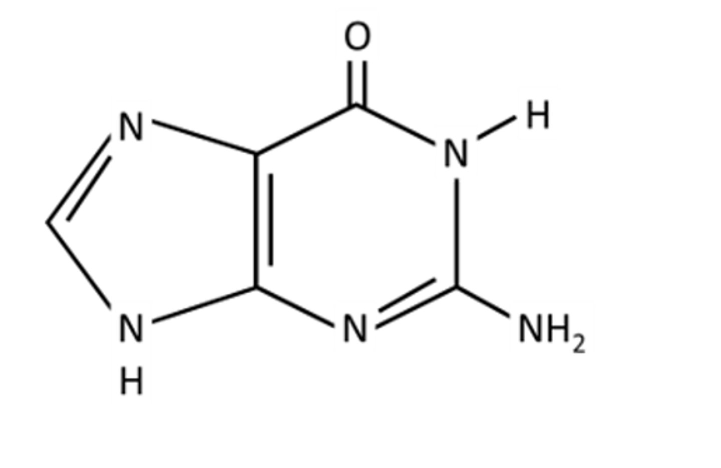 <p>Identify the following base:</p><p>A. Guanine</p><p>B. Cytosine</p><p>C. Adenine</p><p>D. Thymine</p>