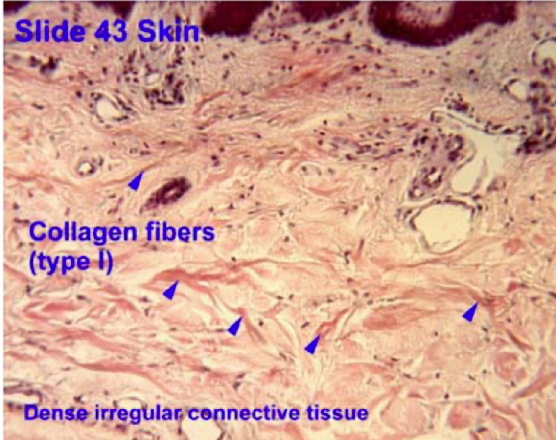 <p>Mere <strong>uregelmæssigt</strong>, så vævet kan tåle træk fra mange retninger.</p>