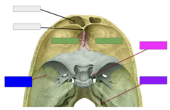 <p>This is the</p>