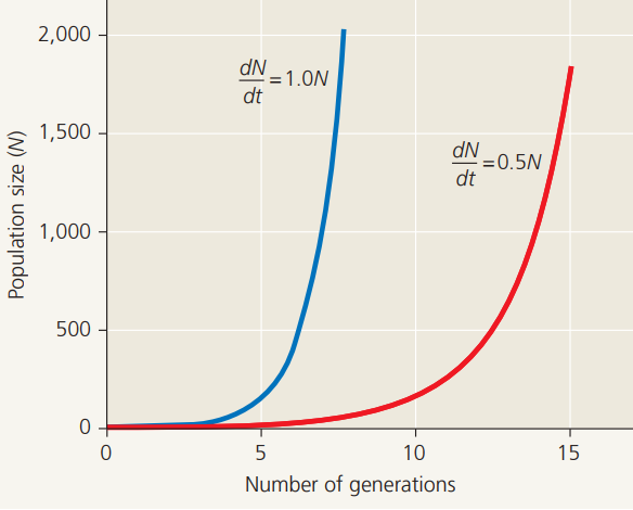 dN/dt = rN: dN/dt is the pop change over time, r is the intrinsic rate of increase, and N is the population size. A more vertical growth means growing faster.