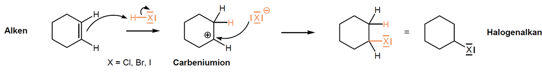 <ul><li><p><span>Iodwasserstoff HI, Bromwasserstoffsäure HBr, Salzsäure HCL</span></p></li><li><p><span>Elektrophiler Angriff eines Protons an Doppelbindung des Alkens -> Carbeniumion entsteht (tertiäres ist am stabilsten -> Markovnikoff-Regel)</span></p></li><li><p><span>Halogenid greift Carbeniumion nucleophil an -> zweite Sigma-Bindung entsteht -> Halogenalkan</span></p></li></ul><p></p>