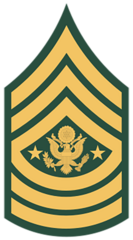 <p>Army: E-9</p>