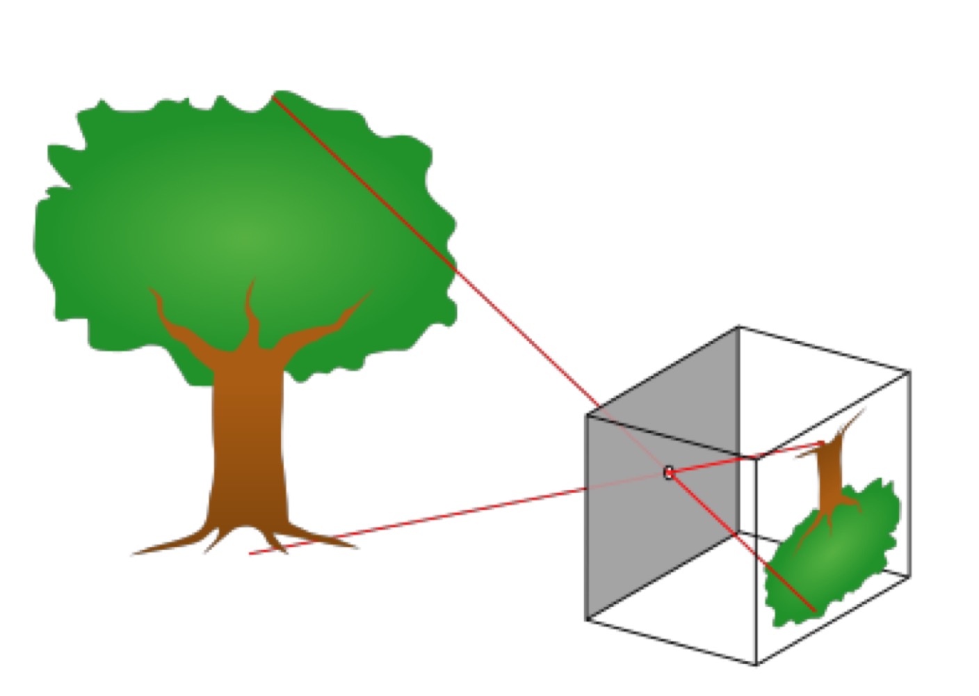 <p>Why do parallel lines in 3D world appear to meet in 2D image?</p>