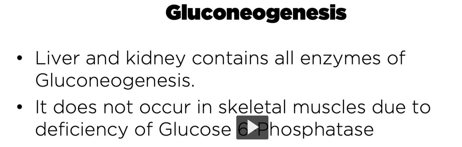 <p>the reason why gluconeogenesis occurs in the liver and kidney is because the liver and kidney contain all the enzymes for gluconeogenesis. </p><p>-gluconeogenesis does not occur in skeletal muscles due to deficiency of glucose-6-phosphatase. </p>