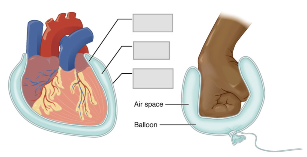 <p>bottom </p>