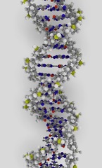 <p>The molecule that stores hereditary instructions in living organisms.</p>
