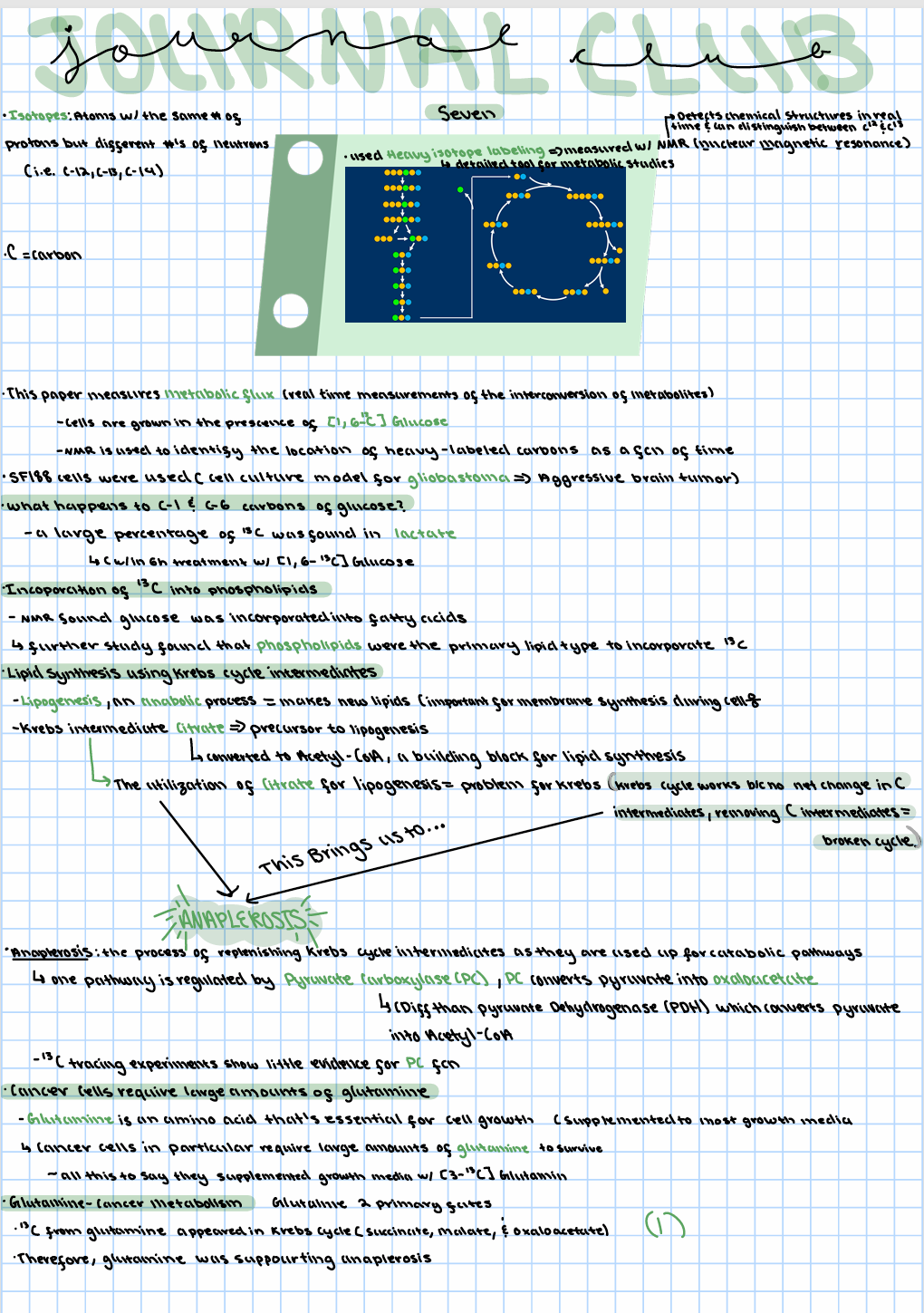 <p>Journal Club 7:</p><p>Beyond aerobic glycolysis: Transformed cells can engage in glutamine metabolism that exceeds the requirement for protein and nucleotide synthesis </p><p>Written Notes</p>