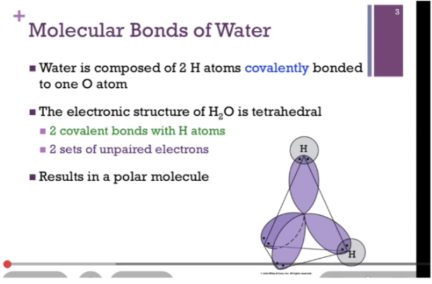 <p><span style="background-color: transparent;">Even though only 2 covalent bonds, the structure of water = <strong>tetrahedral</strong>. Oxygen atom also carries two sets of <strong>unpaired electrons</strong>. Not a perfect tetrahedral since they are unshared. UNpaired =make water polar!</span></p><p><br></p>