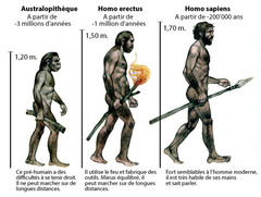 <p>Scientific name for modern humans</p>