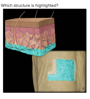 <p>What is this?</p>