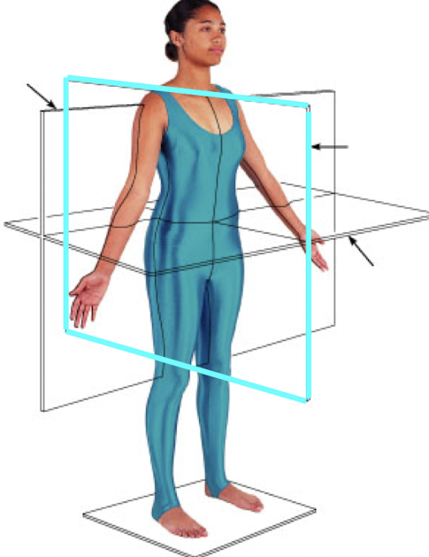 <p>Midsagittal (median) section</p>
