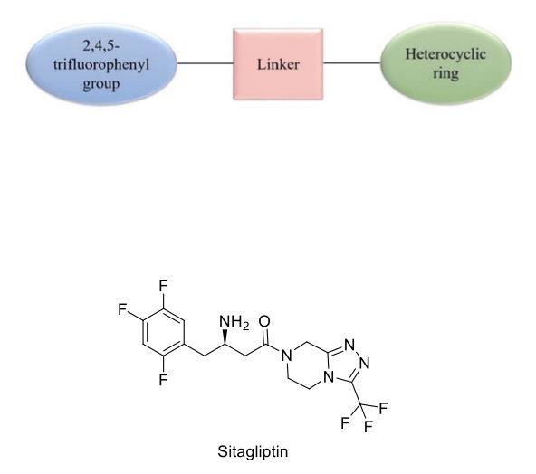 <ul><li><p>Heterocyclic ring</p></li><li><p>Linker / spacer</p></li><li><p>Aryl group</p></li></ul><p></p>