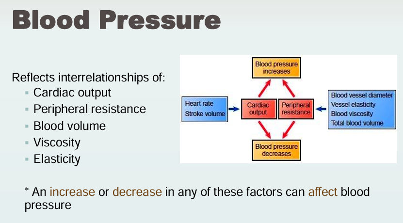 <p>The force exerted on the walls of an artery by pulsating blood under pressure?</p><ul><li><p>Cardiac output</p></li><li><p>Peripheral resistance</p></li><li><p>Blood volume</p></li><li><p>Viscosity</p></li><li><p>Elasticity </p></li></ul><p>An increase or decrease in any of these factors can affect blood pressure</p><p></p>