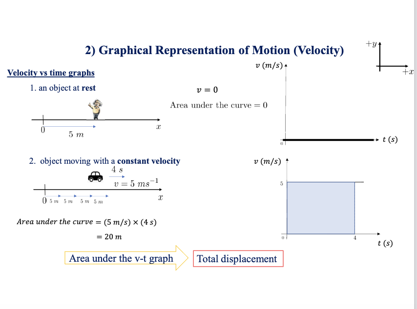 <p>What does a velocity vs. time (v vs t)(v \text{ vs } t)(v vs t) graph show?</p>