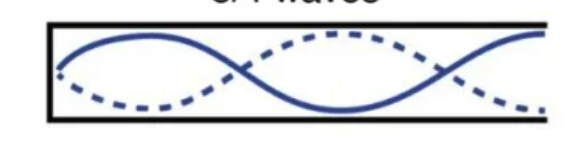 <p>Note: Each image shows one ‘L’</p>