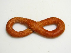 <p>lifelong</p>