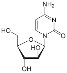 <p>cytosine arabinoside (ara-C, cytarabine)</p>