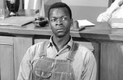 <p>- Black man accused of raping Mayella Ewell</p><p>- he is unable to use his left hand which would have made it quite difficult for him to attack Mayella the way she says he did</p><p>- is shot 17 times and killed by prison guards when he tries to escape</p>