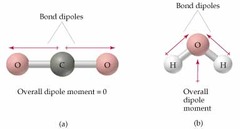 <p>The separation of partial positive and negative electrical charges between two bonded atoms due to unequal electron sharing</p>