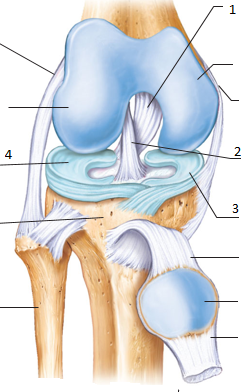 <p>4</p>