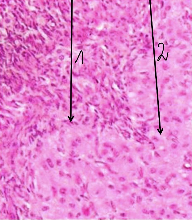 <p>2</p>