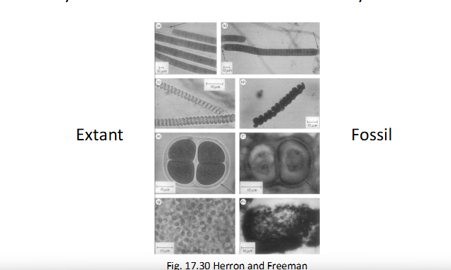 <p><strong>What is the main point of this slide? </strong></p>