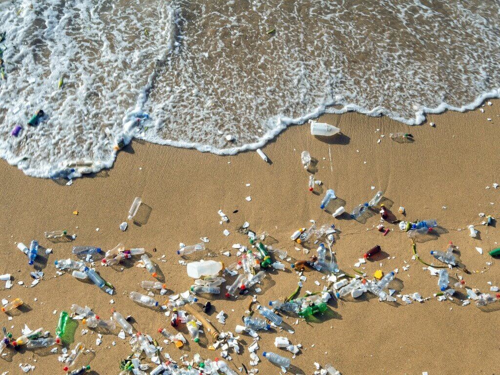 <p>environmental pollution </p>