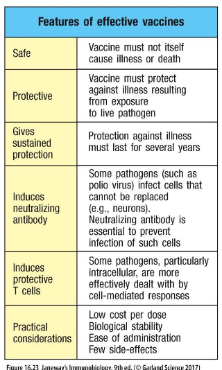 <ul><li><p>Safe </p></li><li><p>Protective</p></li><li><p>Gives sustained protection </p></li><li><p>induced neutralizing antibody</p></li><li><p>induces protective T cells </p></li><li><p>Practical considerations </p></li></ul><p></p><p>MEMORIZE THIS</p><p></p>