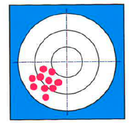 <p>The target in the figure illustrates a set of results that show a high degree of:</p>