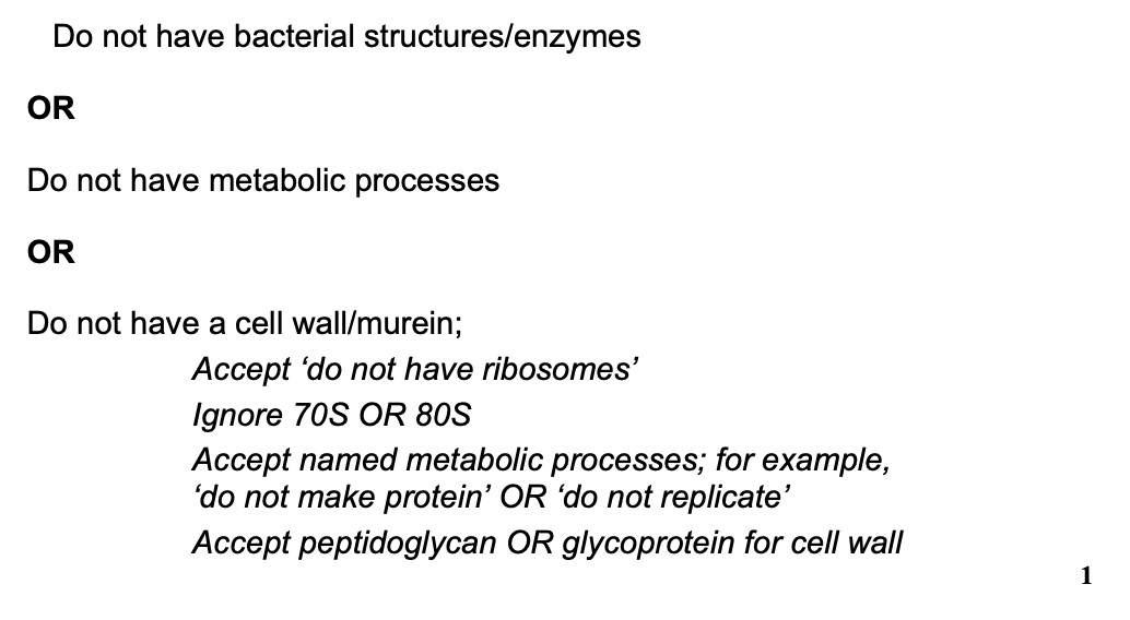 <p>any 1 from:</p><ul><li><p>do not have bacterial structure/enzymes</p></li><li><p>do not have metabolism</p></li><li><p>do not have cell wall/murein</p></li></ul><p></p>