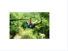 <p>zipline</p>