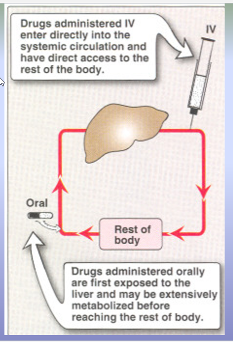 <p><span style="background-color: transparent;">Oral Admin → GI Absorption →Hepatic portal circulation → rapid and extensive metabolism → decrease # of unchanged drug reaching systemic circulation</span></p><p><br></p>