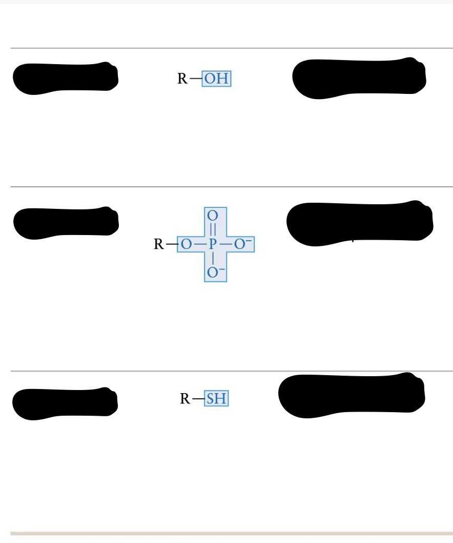 <p>Label the following functional groups AND their families (start top to bototm on left side, then top to bottom on right side):</p>