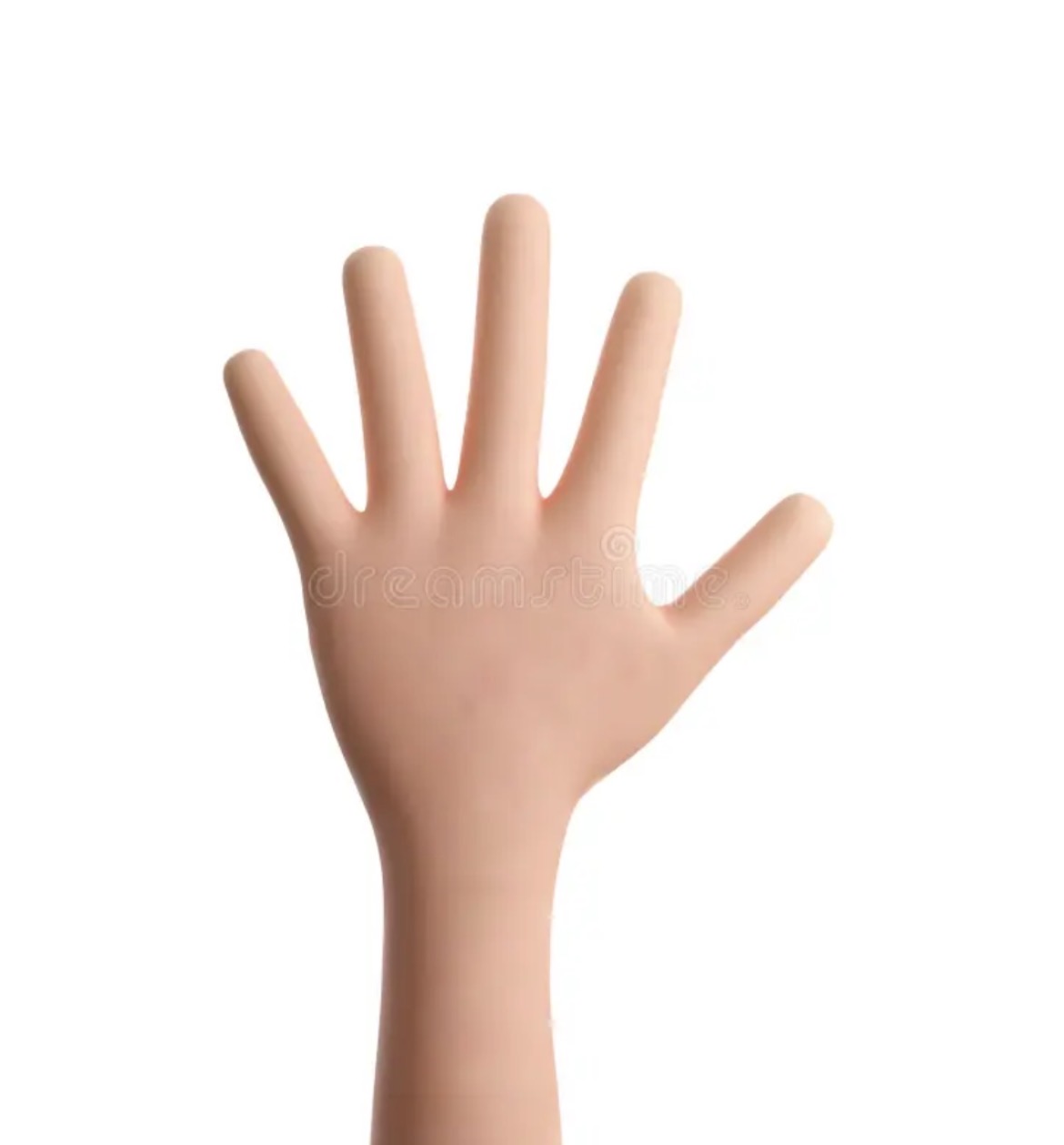 term image
