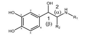 <p>[Structure Activity Relationship of β-phenyl ethylamine]<br>Without 3' and 4' OH groups on the aromatic ring, sympathomimetic amines are ______ and provide _______ activity.</p><p class="ds-markdown-paragraph">a. Resistant to MAO and direct acting<br>b. Resistant to COMT (increased DOA) and indirect acting<br>c. Susceptible to COMT and direct acting<br>d. Resistant to AChE and mixed acting</p>